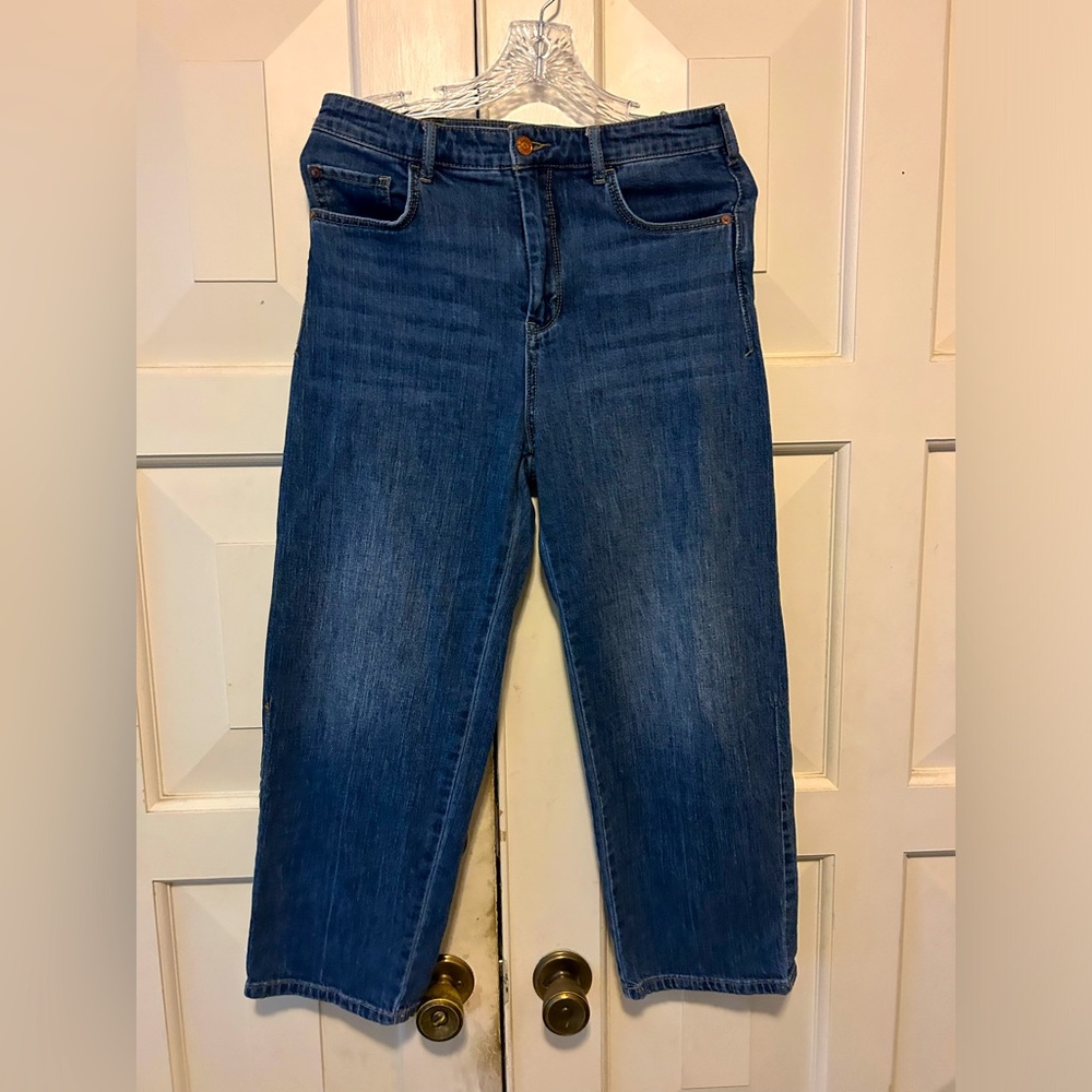 Pilcro barrel jeans-28 petite